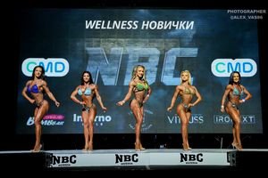 WELLNESS НОВИЧКИ